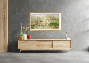 Pale Gold - Alloy Prismatic Samsung Frame Bezel (2017-2020)