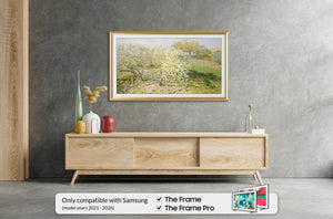 Pale Gold - Alloy Prismatic Samsung Frame TV Bezel