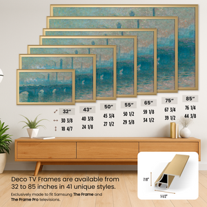 Pale Gold - Alloy Scoop Samsung Frame TV Bezel