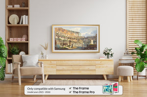 Pale Gold - Alloy Scoop Samsung Frame TV Bezel