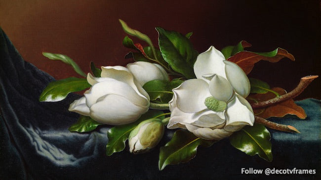 Magnolias sur tissu de velours bleu clair (vers 1885) 