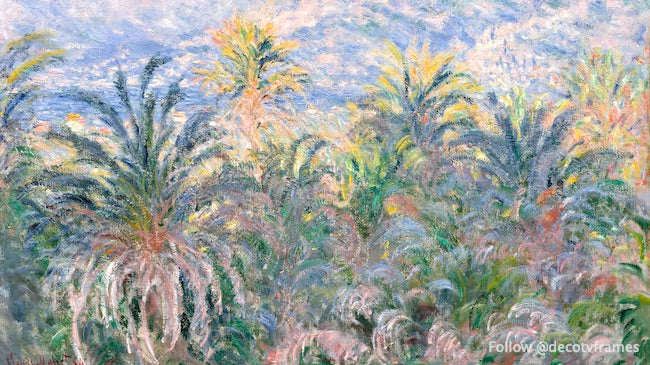 Palmiers à Bordighera 