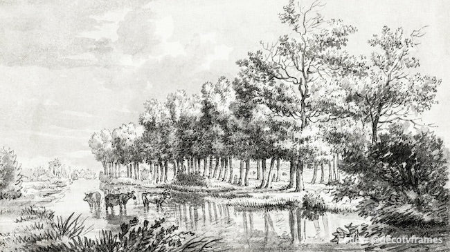 Landscape with wading cows