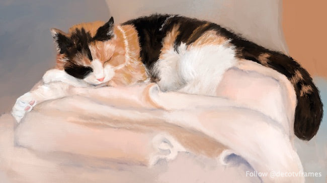 Gato #1 