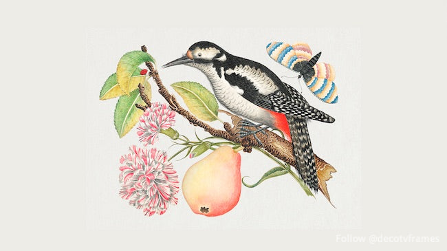 L'illustration du XVIIIe siècle d'un oiseau perché sur une branche qui porte une poire, des fleurs rouges et blanches et des feuilles avec une coccinelle et un papillon dans le coin supérieur droit 