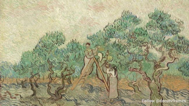 Le verger d&#39;oliviers, 1889 